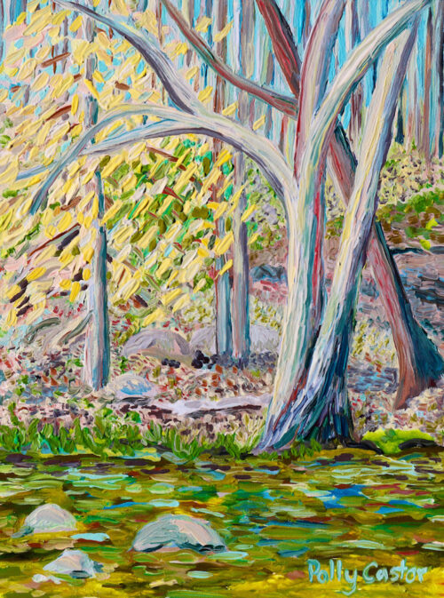 Young Beech Tree in Early Spring