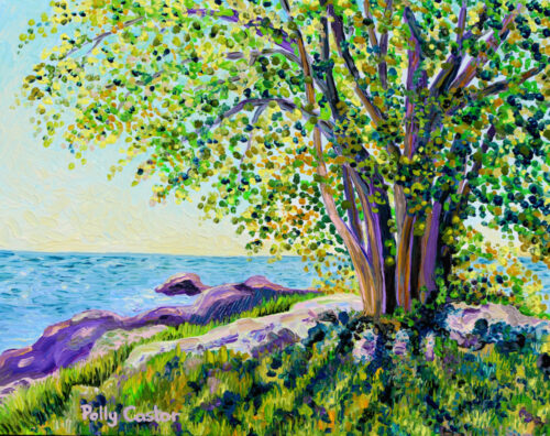 Morning on Chaffinch Island