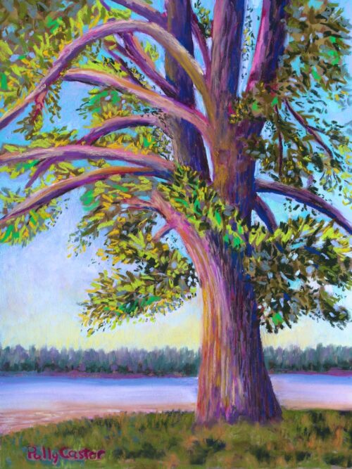 Tree at Camp Newfound