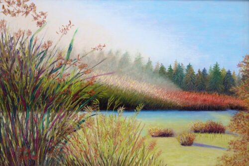 Marsh Morning