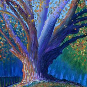 Tree on Sunset Hill