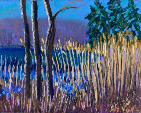 Warm February at Putnam Park (pastel) by Polly Castor