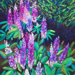 painting in pastel of lupines