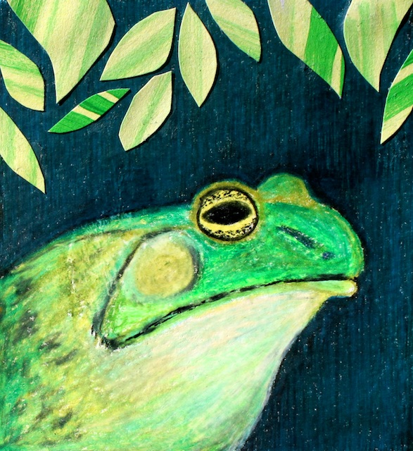 Frowning Frog (mixed media with collage)