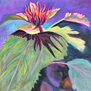 Getting Ready to Bloom (pastel) by Polly Castor