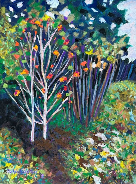 Rowan Trees on Monhegan, plein air painting by Polly Castor