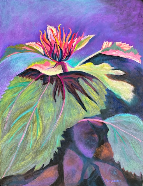 Getting Ready to Bloom, plein air painting by Polly Castor