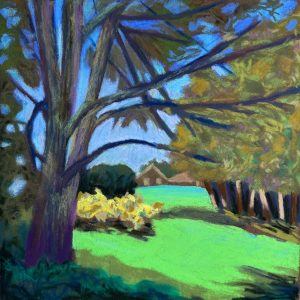 Morning Light on the Blueberry Bushes, plein air painting by Polly Castor