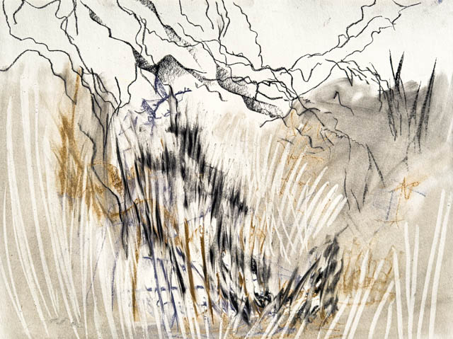 Grassy Valley, by Polly Castor